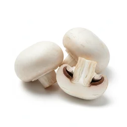 Button Mushroom recipes