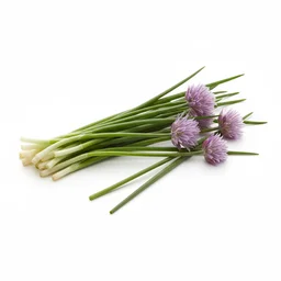 Chive recipes