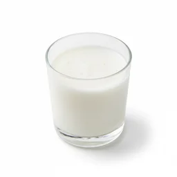 Coconut Milk recipes