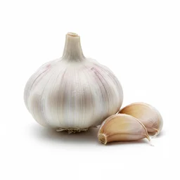 Garlic Clove recipes