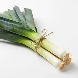 Leek recipes
