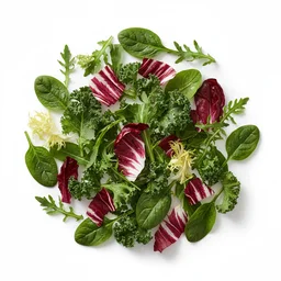 Mixed Leaf Salad recipes