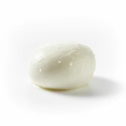 Mozzarella recipes