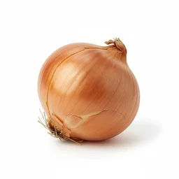 Onion recipes
