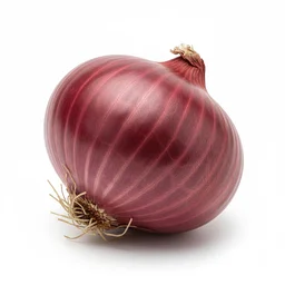 Red Onion recipes