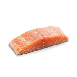 Salmon Fillet recipes