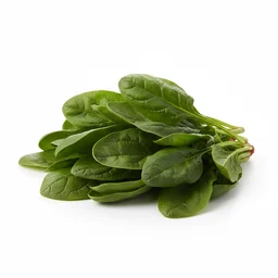 Spinach recipes