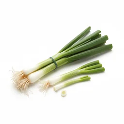 Spring Onion recipes