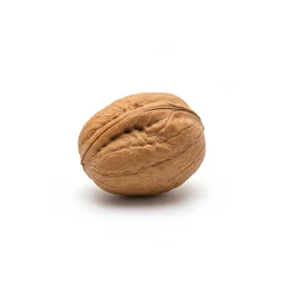Walnuts recipes
